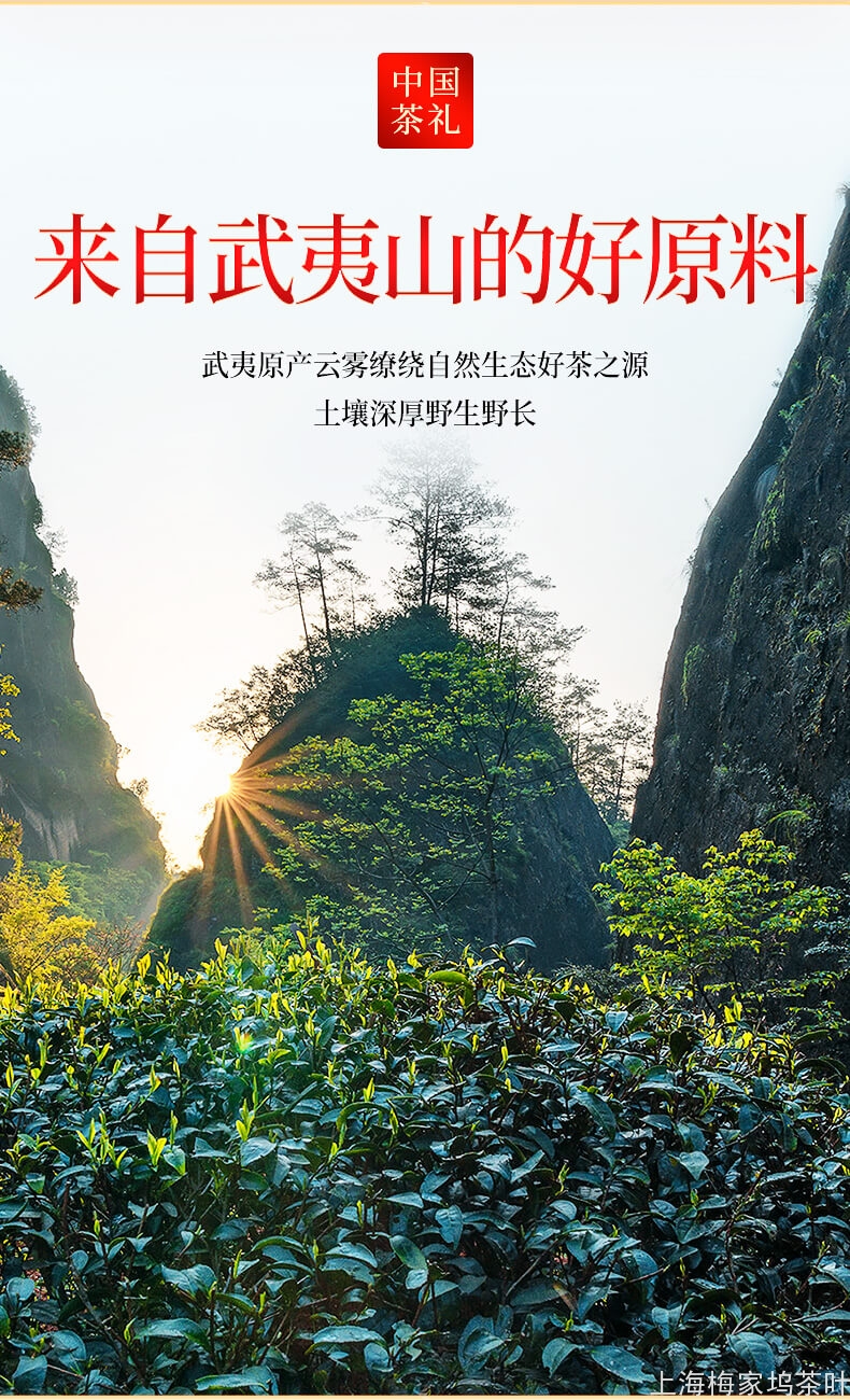 DH-大红袍初心礼盒4罐256g-V2_10.jpg