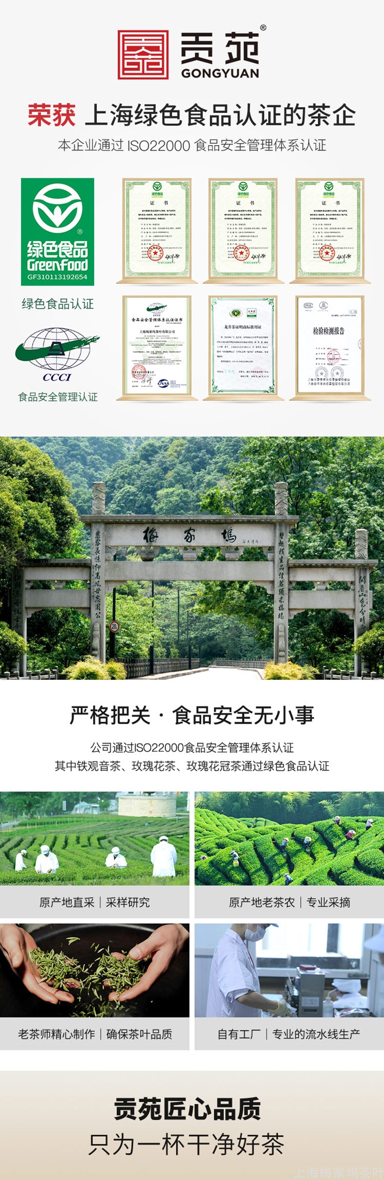 4-底部龙井茶.jpg