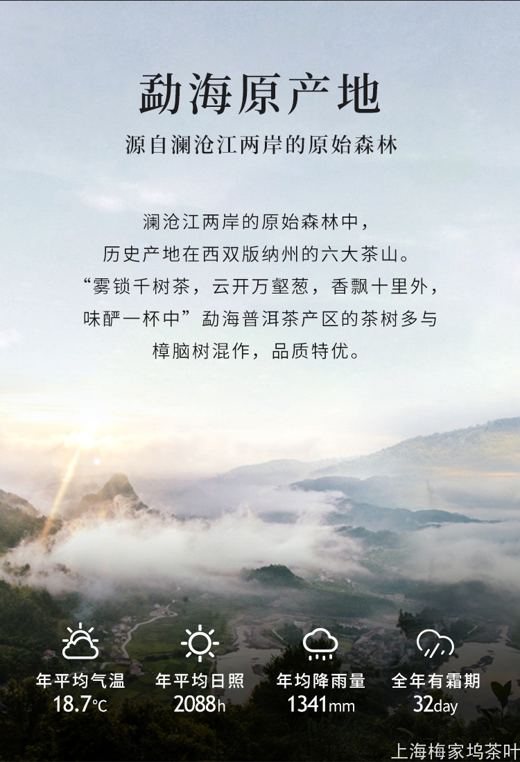 普洱熟茶_03.jpg