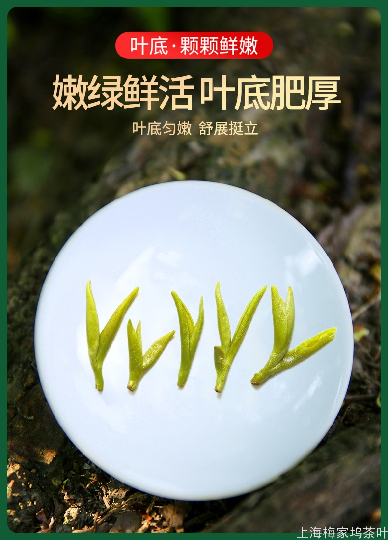 LJ-龙井茶一级绿罐125gx2-V66_06.jpg