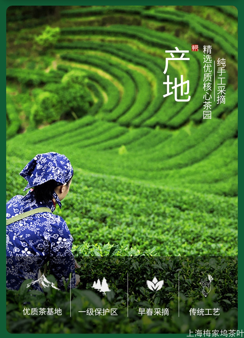 LJ-龙井茶一级绿罐125gx2-V66_11.jpg