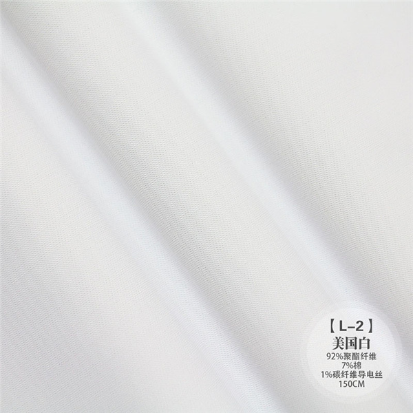 L-2 美国白