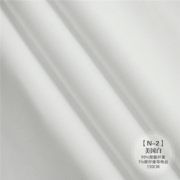 N-2 美国白