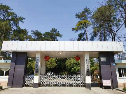 学校大门