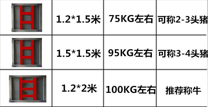 x02.jpg