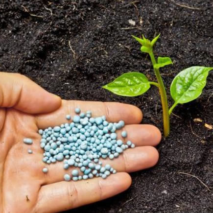 What are the differences between organic fertilizer and inorganic fertilizer?