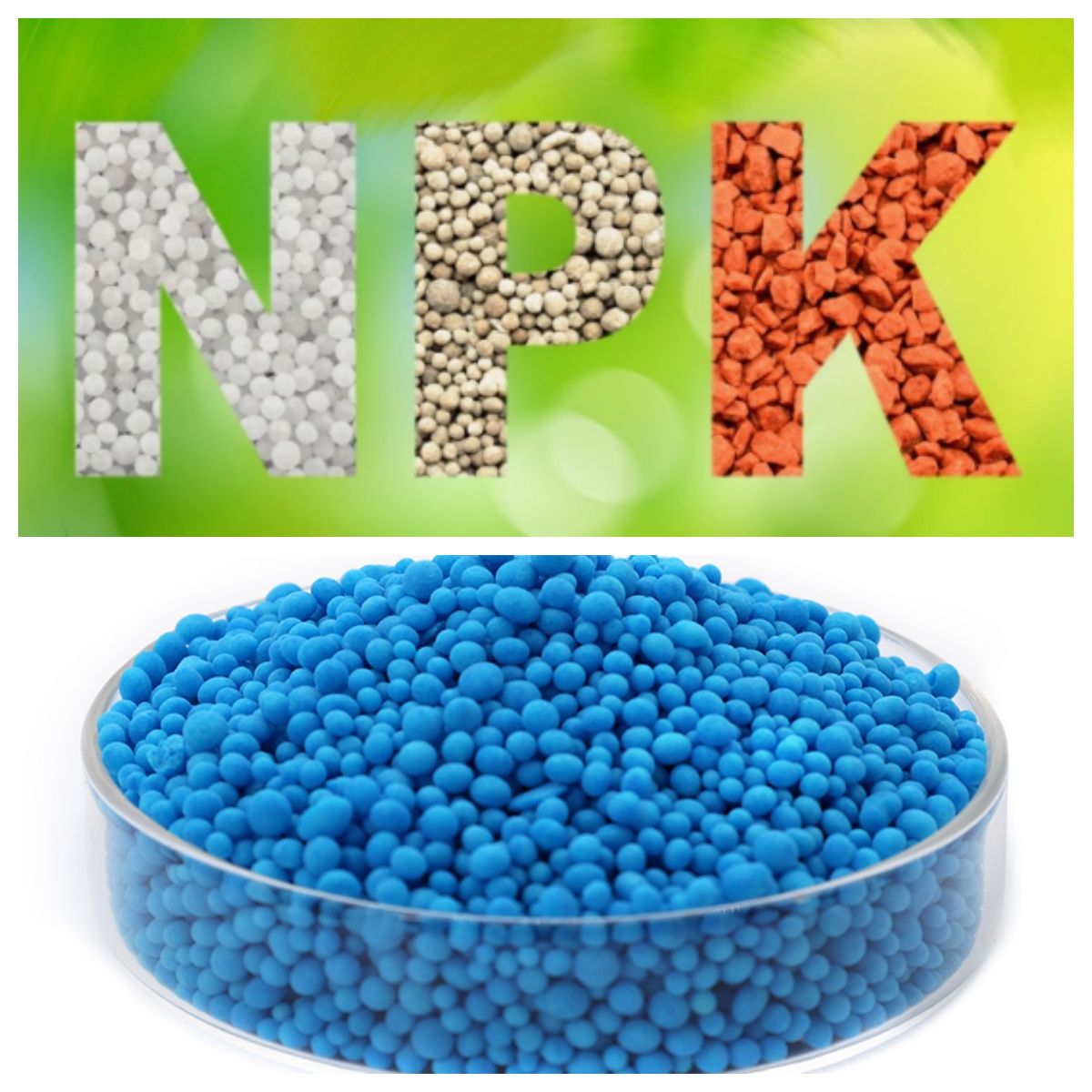 Organic fertilizer production line: full process revealed