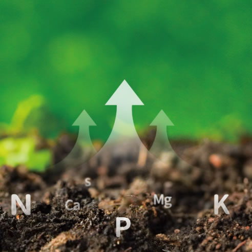 Organic fertilizer production line equipment: creating an efficient and environmental