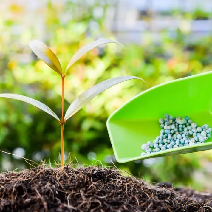 What equipment are commonly found in complete organic fertilizer production lines?