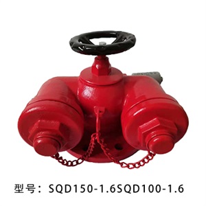 多用式消防水泵接合器