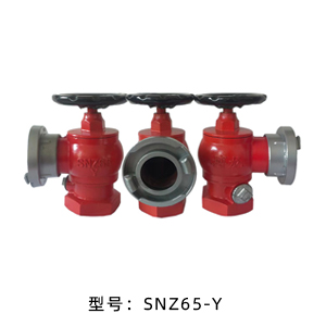 室内消火栓SNZ65-Y