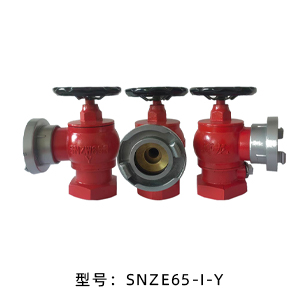 室内消火栓SNZW65-I-Y