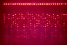 20200827154916_25630.gif Sub-Cell系统1.gif