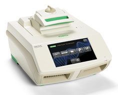 C1000-96.jpg