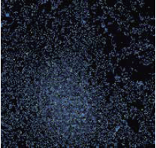 QQ图片20200928141712.png