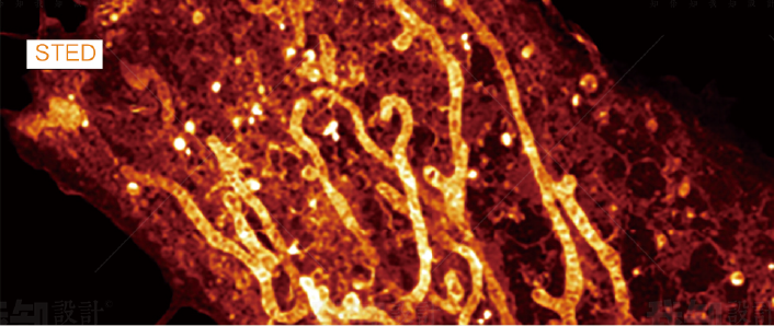 20201209105938_35849.png