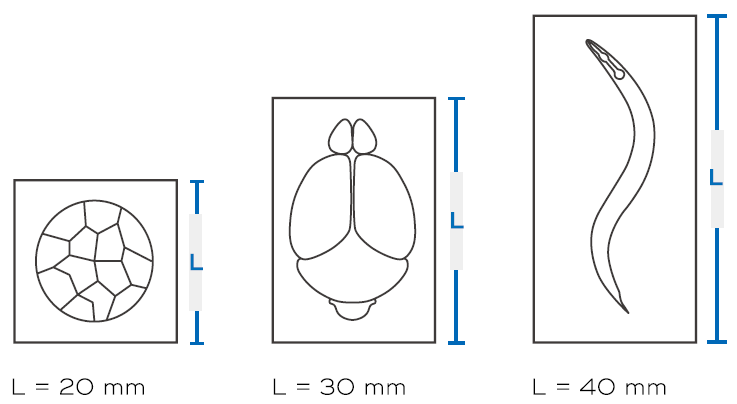 20201214111418_73801.png