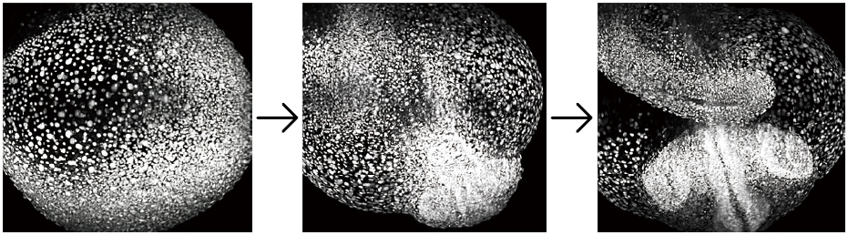 20201215112657_45017.png
