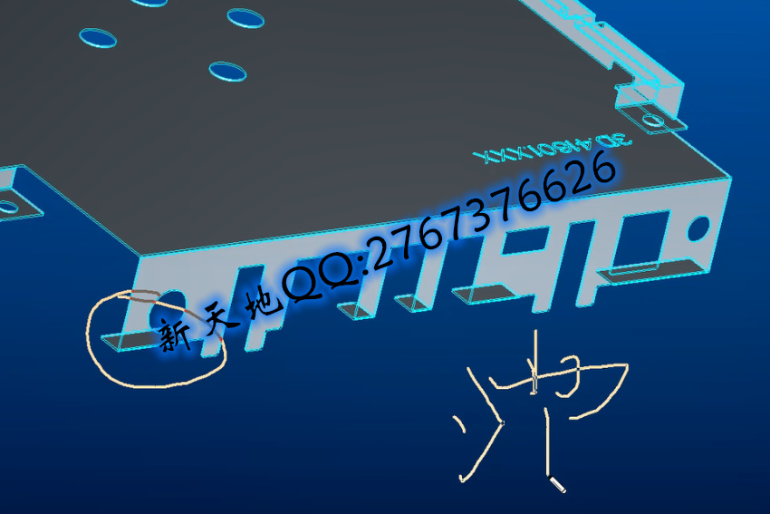 20250113205048_85231.jpg
