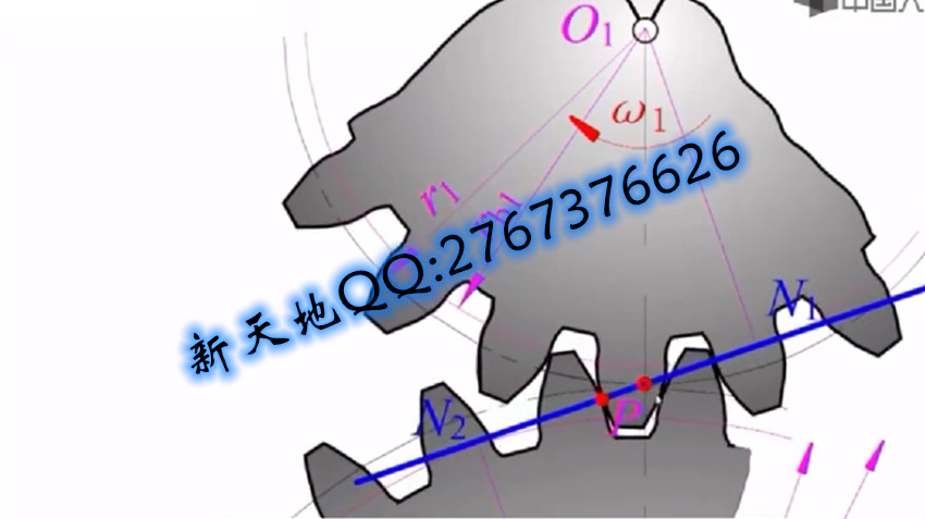 20250628192132_40241.jpg