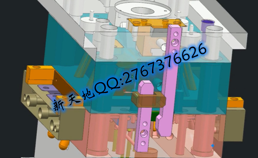 20251014150658_54047.jpg