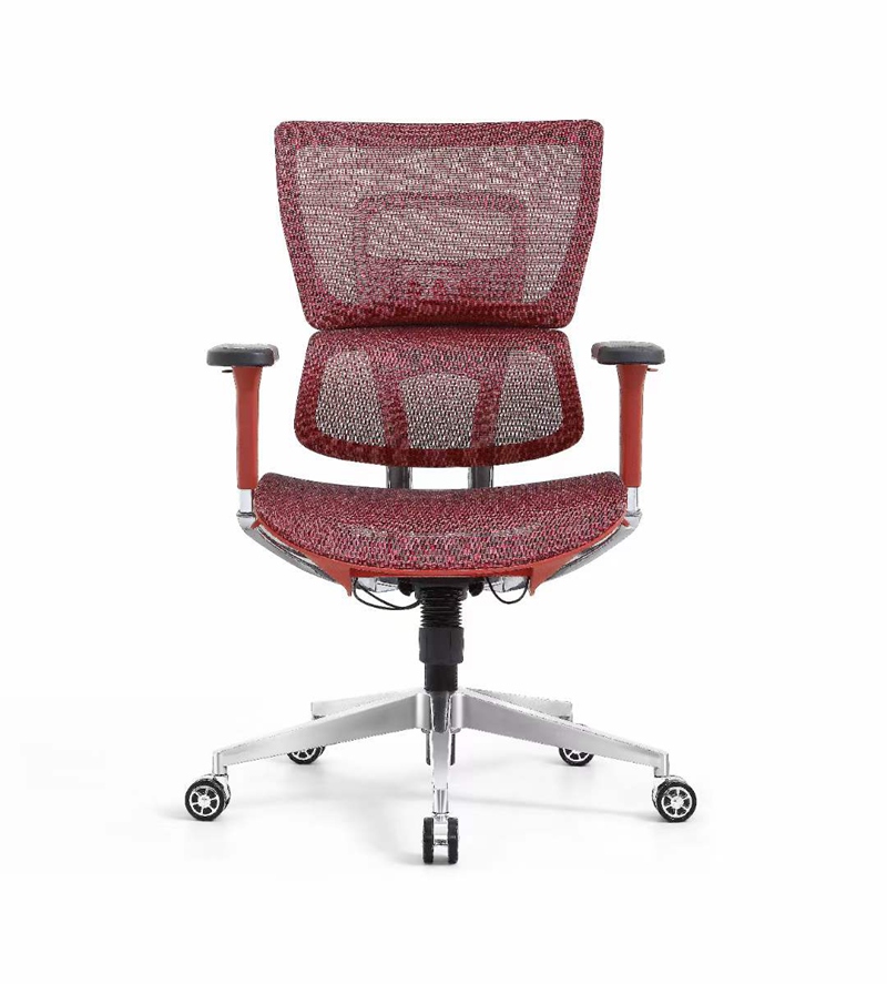 XL240115E.jpg
