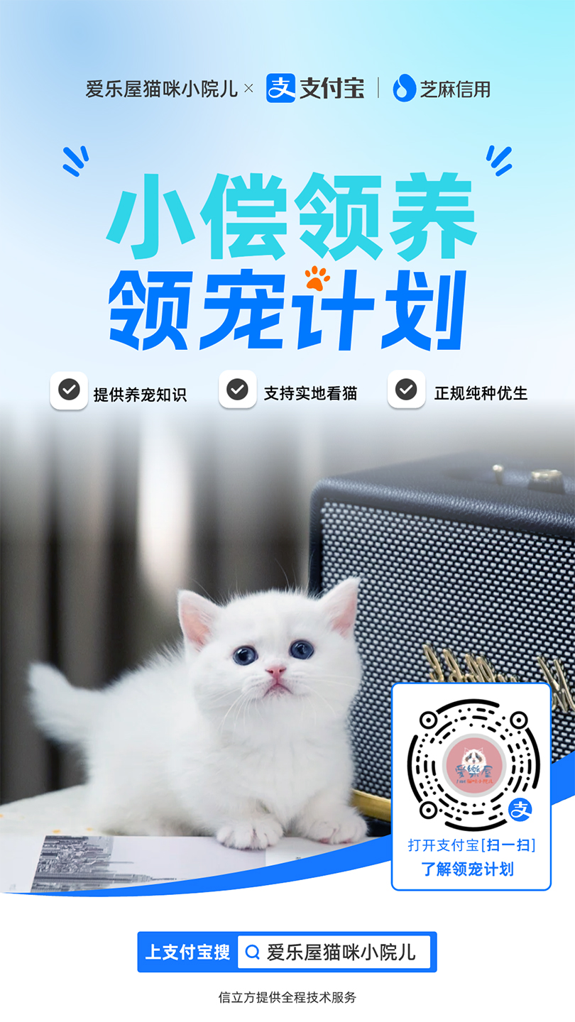 萌宠宠物案例