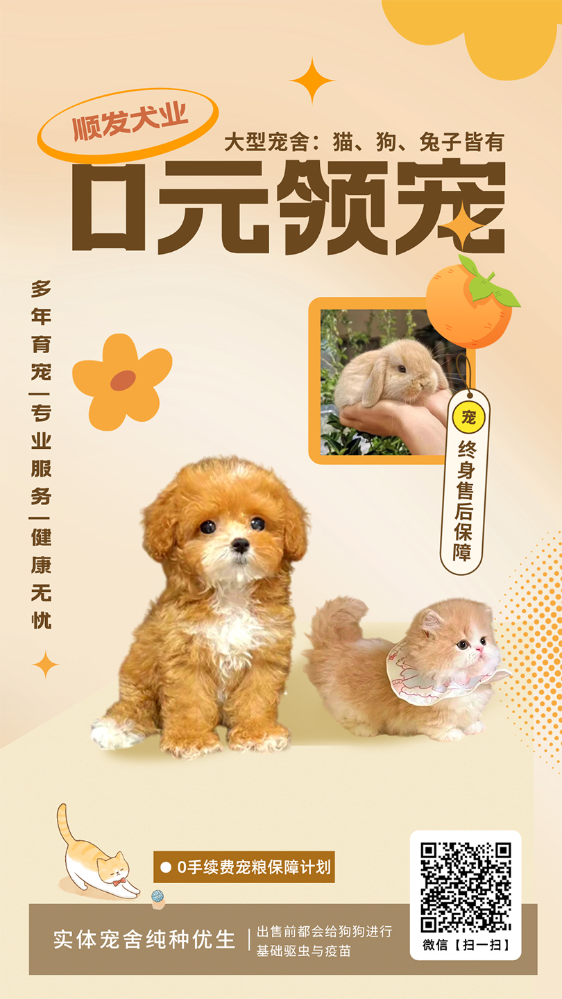 萌宠宠物案例