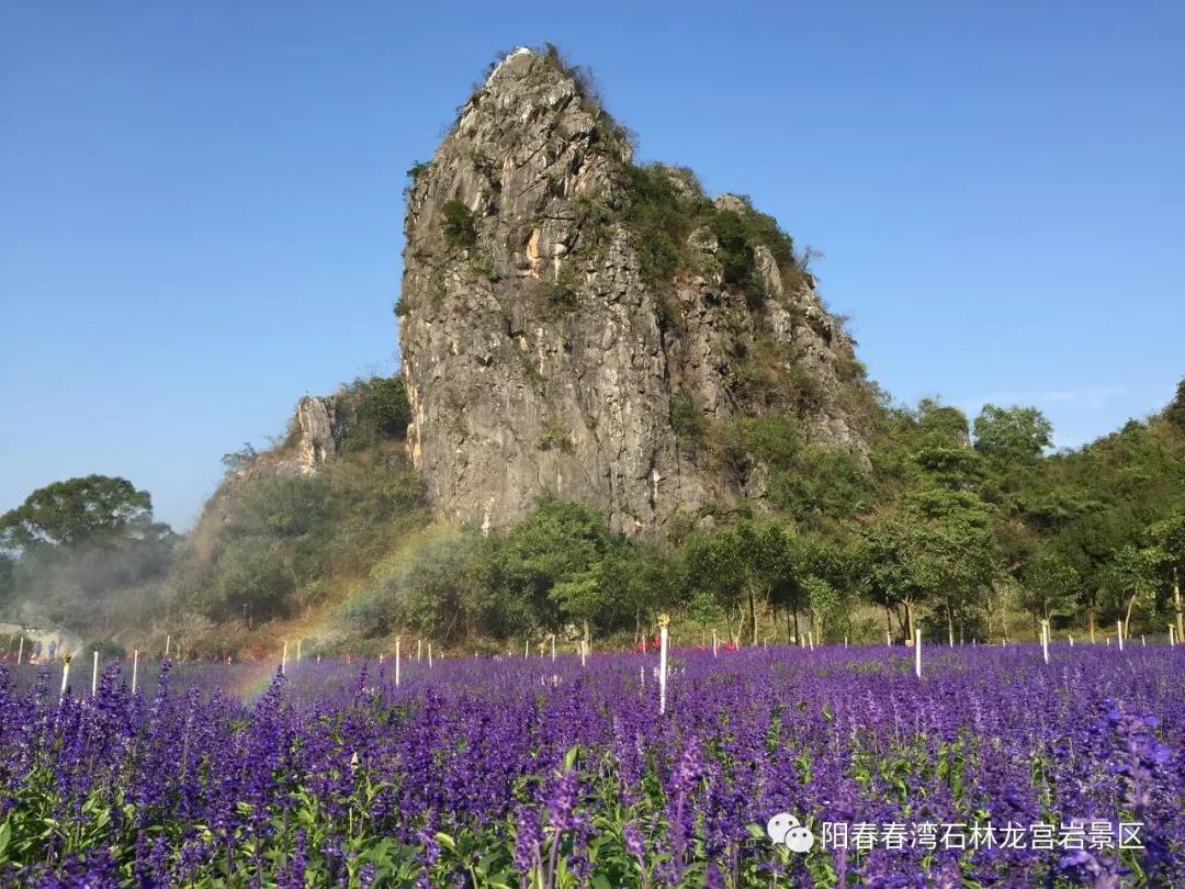 微信图片_20201019211138.jpg