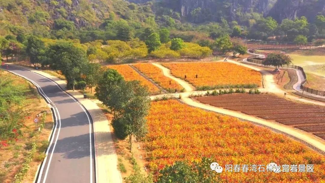 20221027143324_19682.jpg 微信图片_20221027143058.jpg