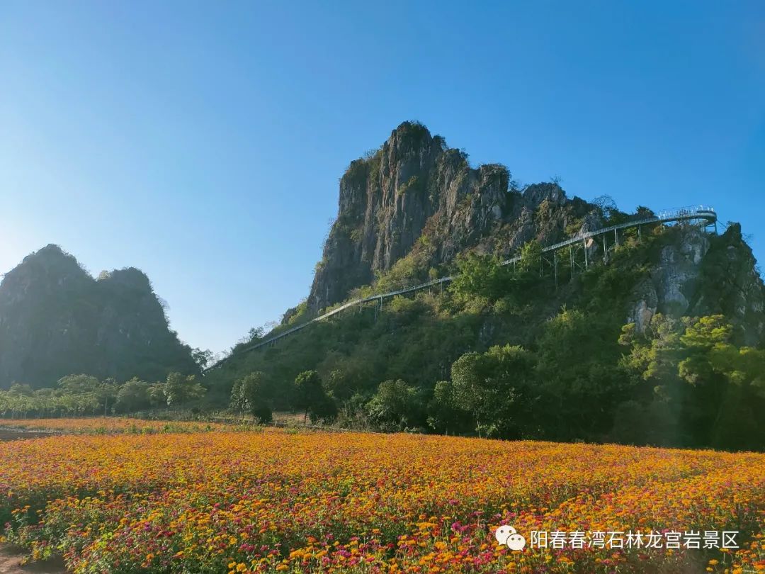 20221027143506_44689.jpg 微信图片_20221027143118.jpg