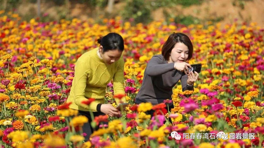 20221027143526_94642.jpg 微信图片_20221027143106.jpg