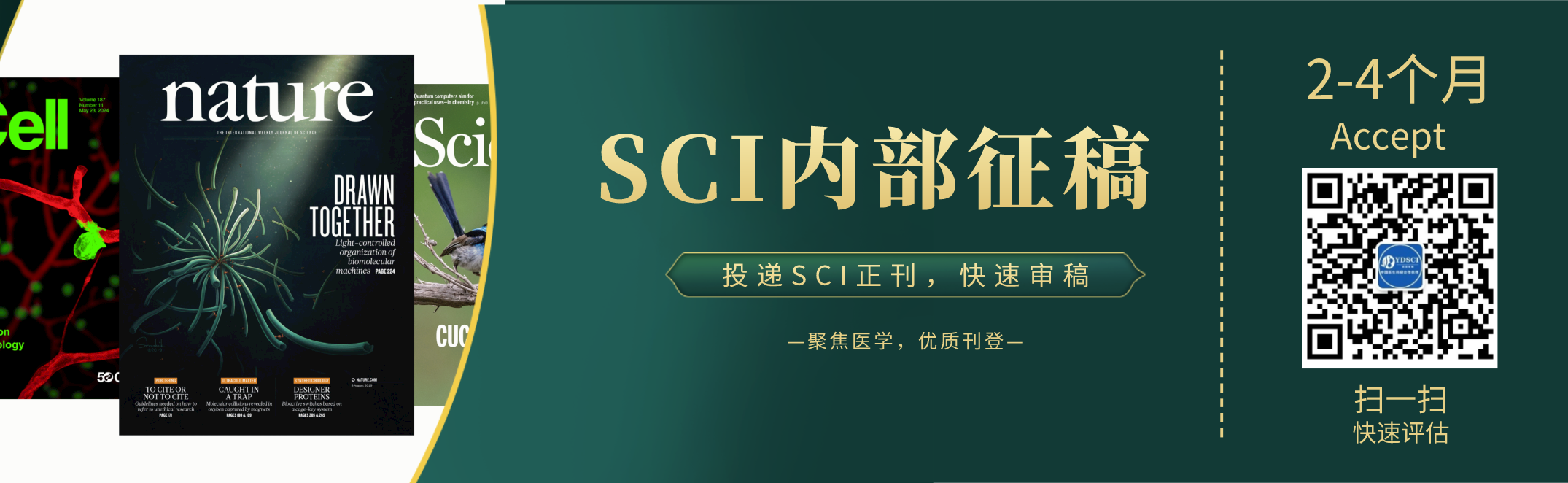 20240625165407_13158.png 超链接配图.png