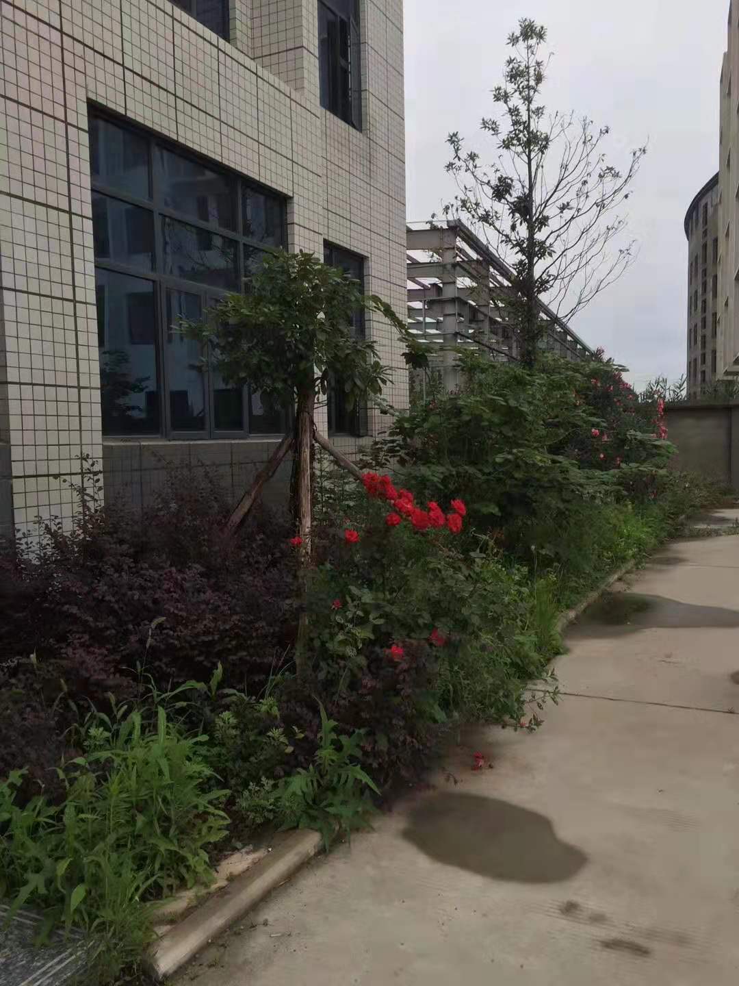 团队介绍