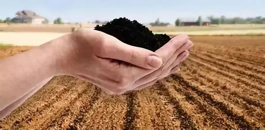 微生物肥料