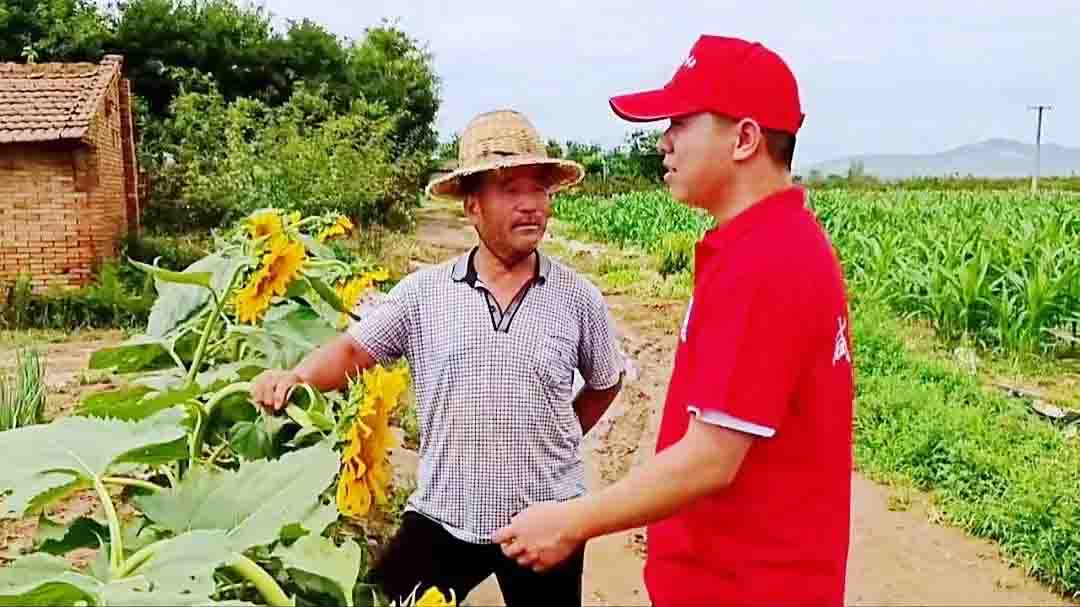 20220819173310_36819.jpg 图片21.jpg