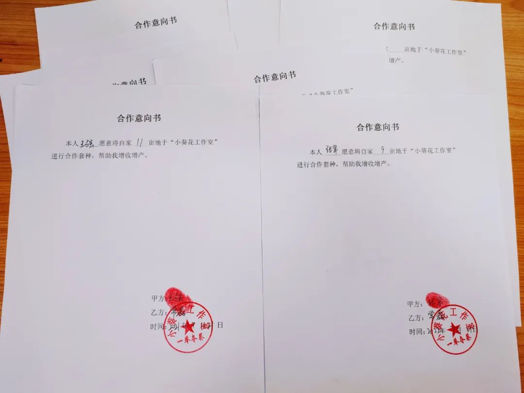 20220819173817_64789.jpg 图片13.jpg