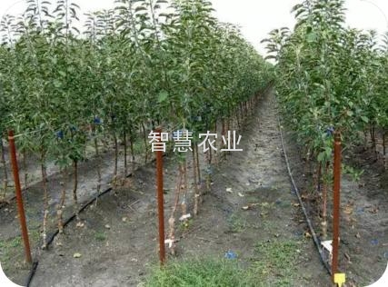屏幕截图 2021-12-28 130710(1)(1).jpg