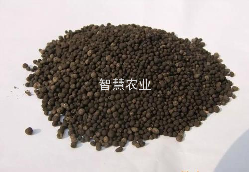 生物菌包4号