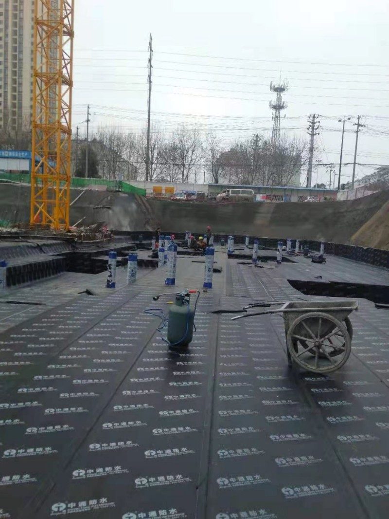 mmexport1620884642440.jpg