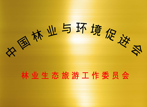 林促会铜牌副本