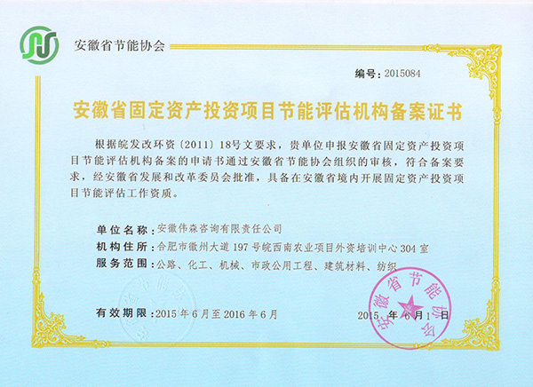 2015伟森能评备案书