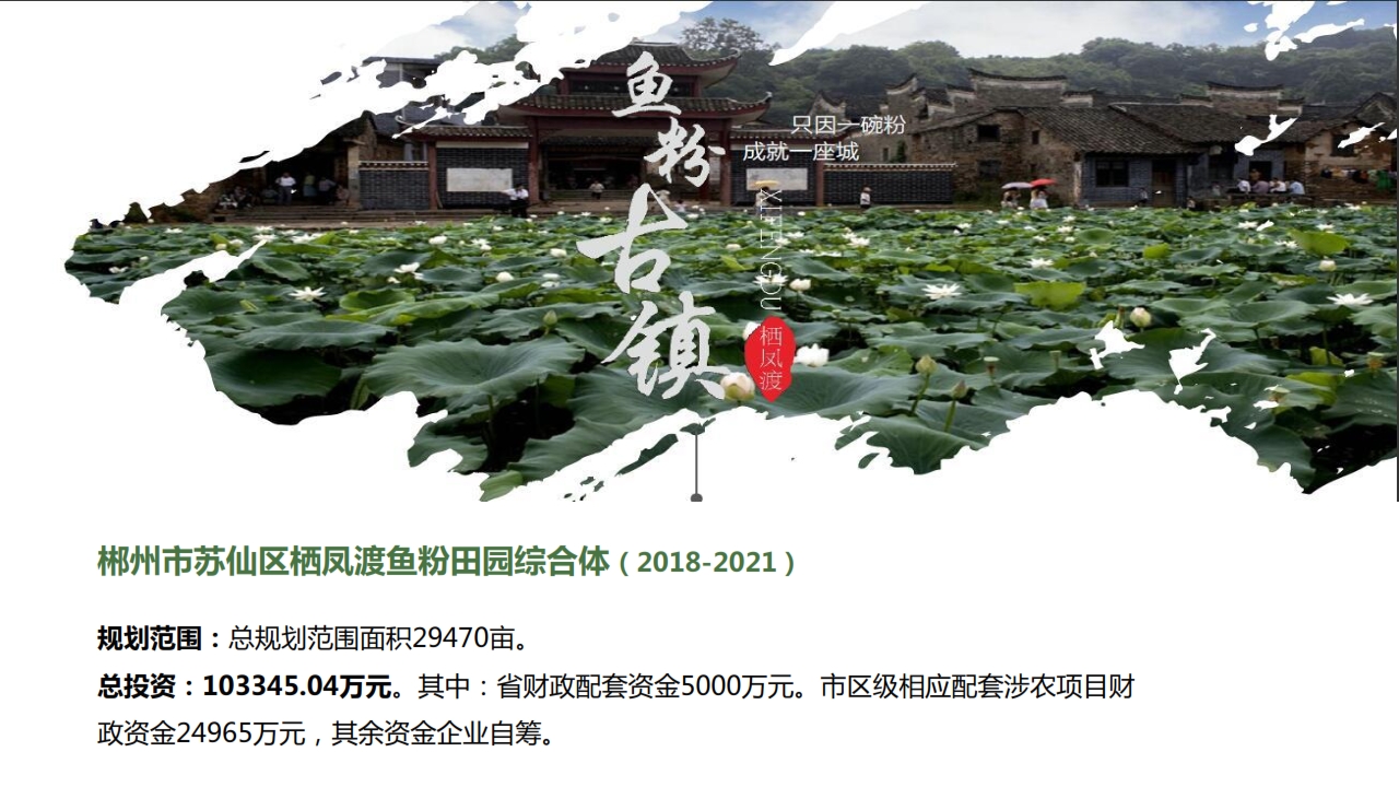 专篇三：规划业务及案例展示_038.jpg