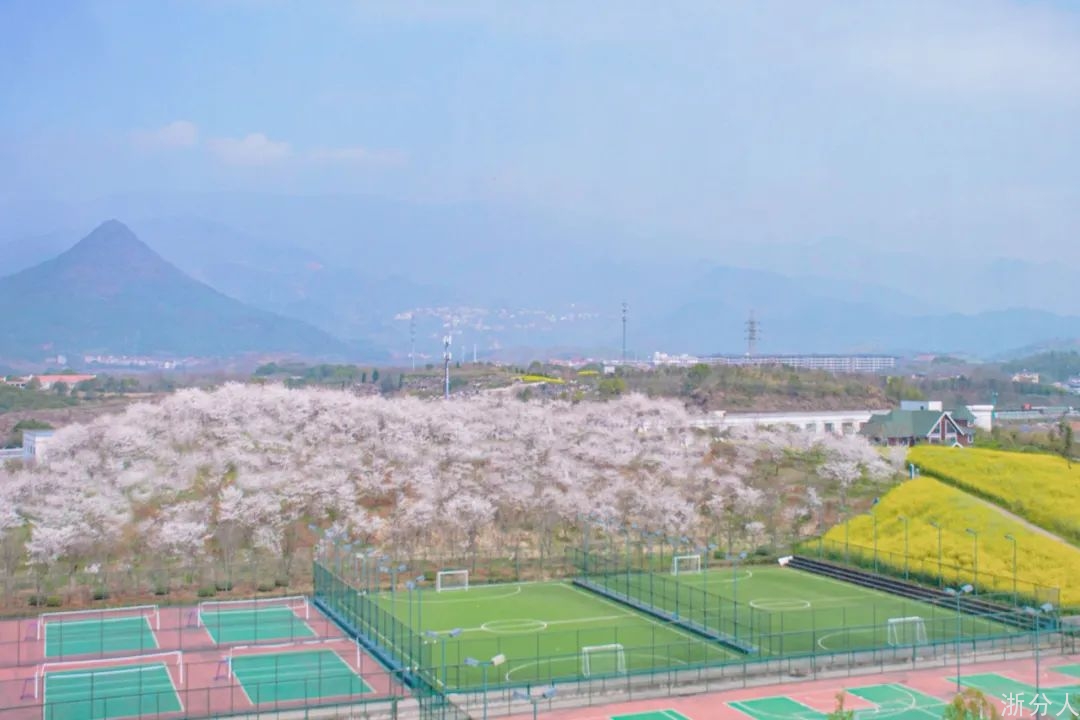 微信图片_20220320191455.jpg