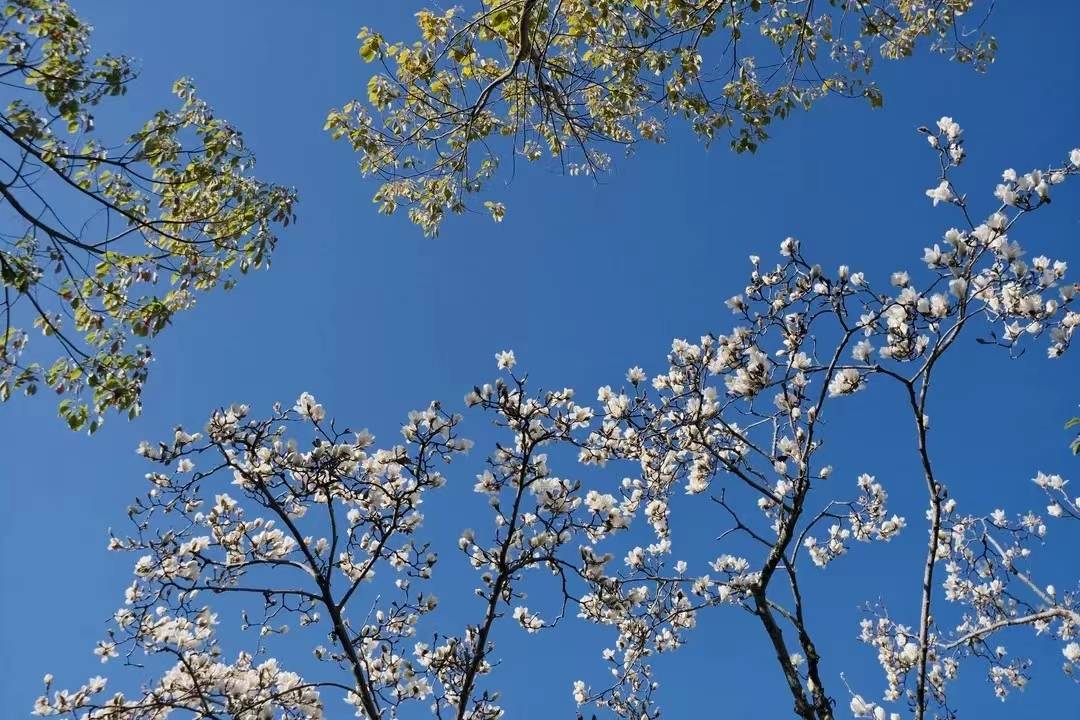 微信图片_20230302102457(1).jpg