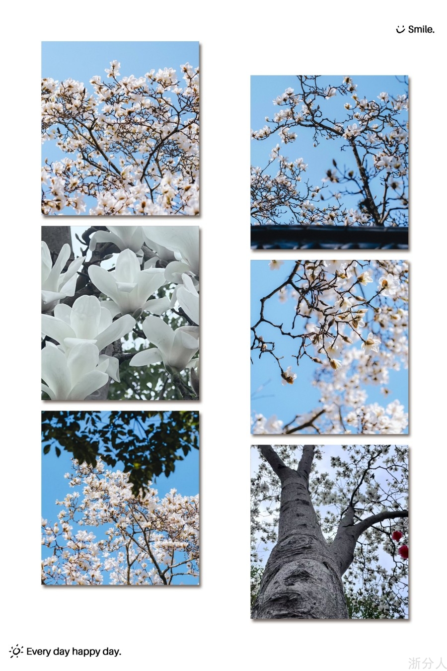 图片_0880c6f60510ec8fe216(1).jpg
