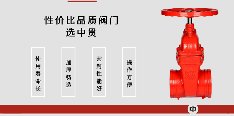 沟槽闸阀Z85X-2.jpg