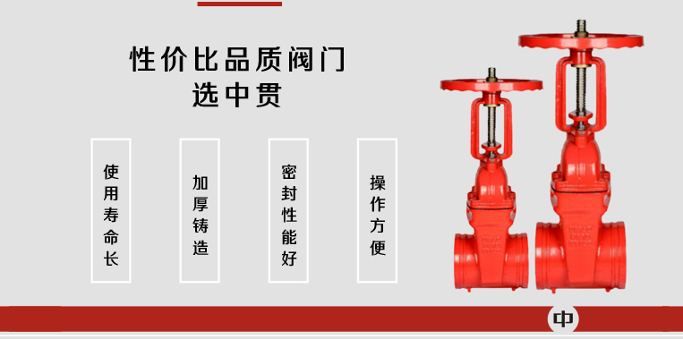 沟槽闸阀Z81X-2.jpg