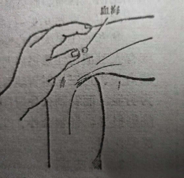 图片13(1).png