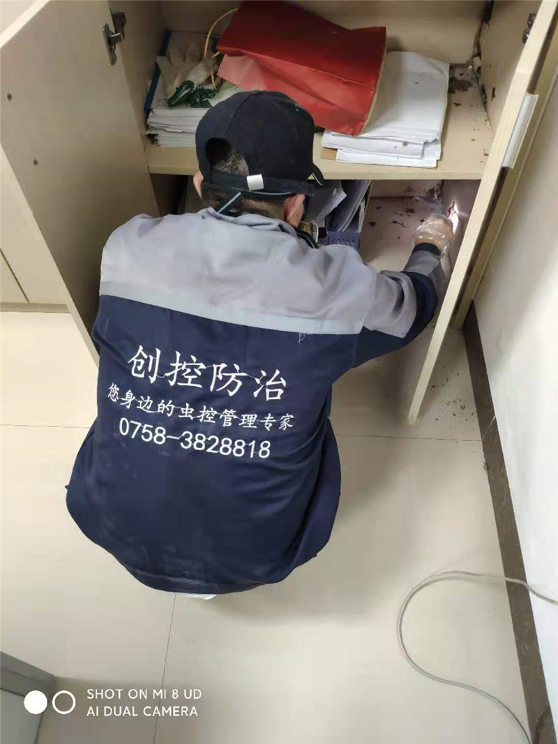 办公场所白蚁防治